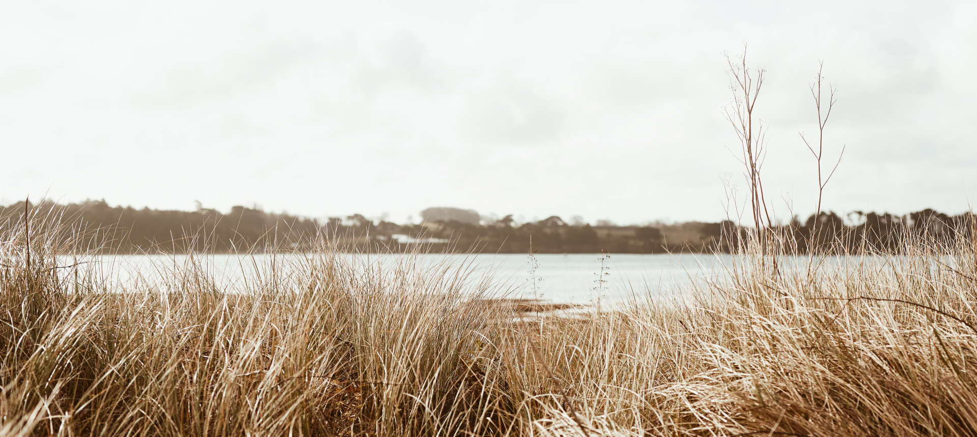 Phytomer luonnonkosmetiikka