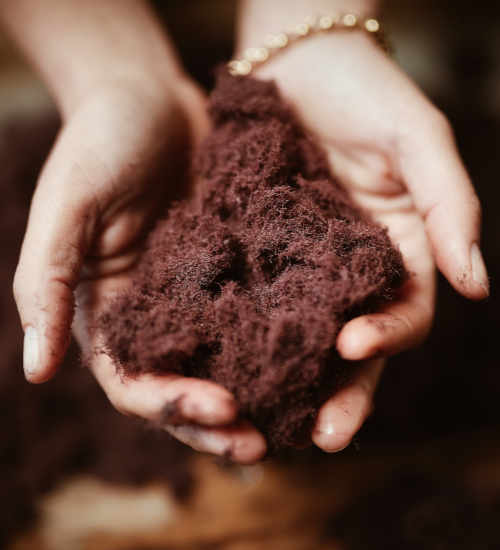 Phytomer vastuullinen kosmetiikka