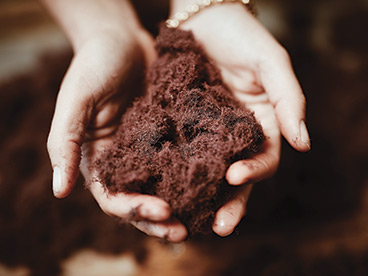 Phytomer kerää itseviljeltyä levää